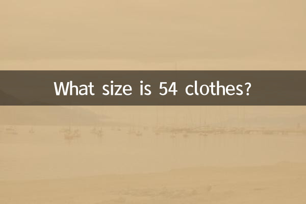 54の服のサイズはどれくらいですか？