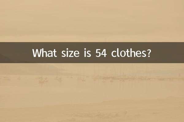 54の服のサイズはどれくらいですか？