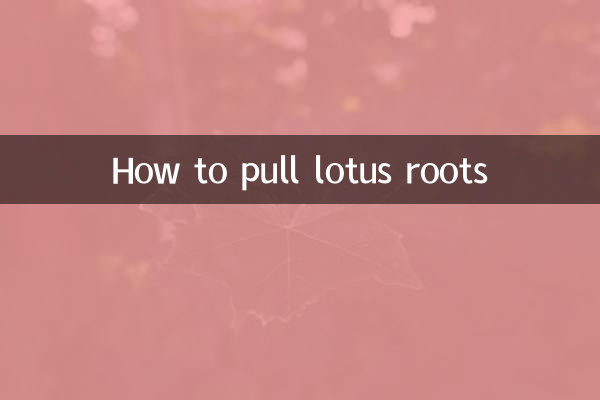 कमल की जड़े कैसे निकाले