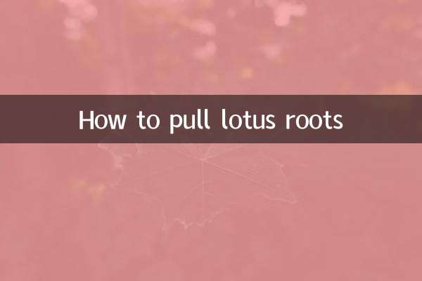 कमल की जड़े कैसे निकाले