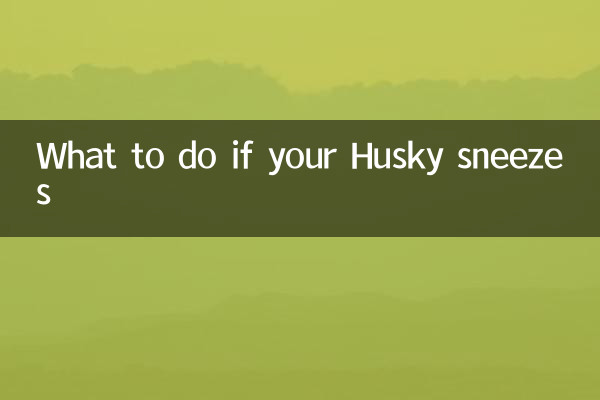 अगर आपका हस्की छींक दे तो क्या करें?