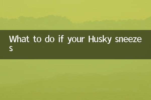 哈士奇打喷嚏怎么办
