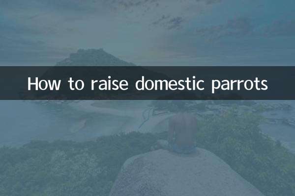 インコの育て方