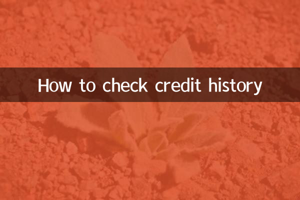 クレジットヒストリーの確認方法