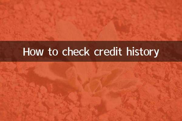 クレジットヒストリーの確認方法