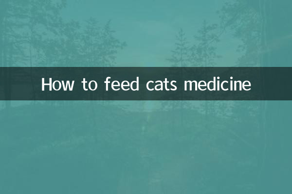 Wie man Katzen mit Medikamenten füttert