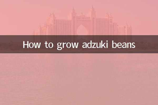 Wie man Adzukibohnen anbaut