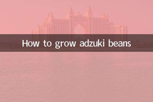 كيفية زراعة حبوب أدزوكي