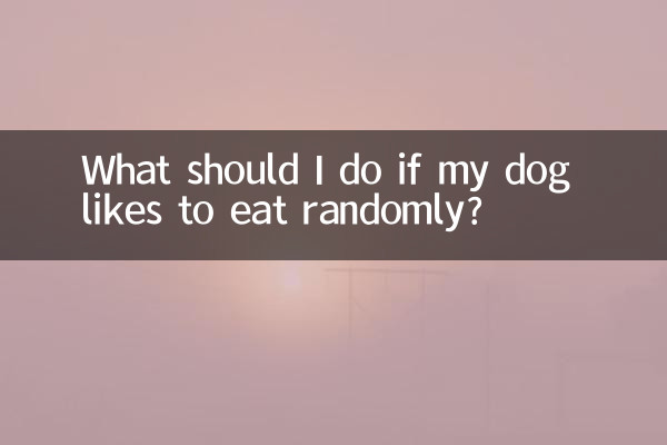 犬がランダムに食べるのを好む場合はどうすればよいですか?