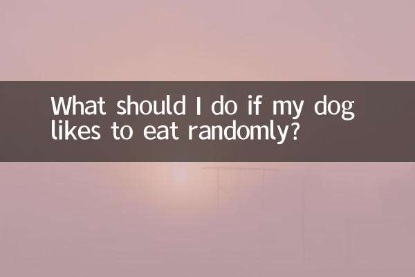 犬がランダムに食べるのを好む場合はどうすればよいですか?