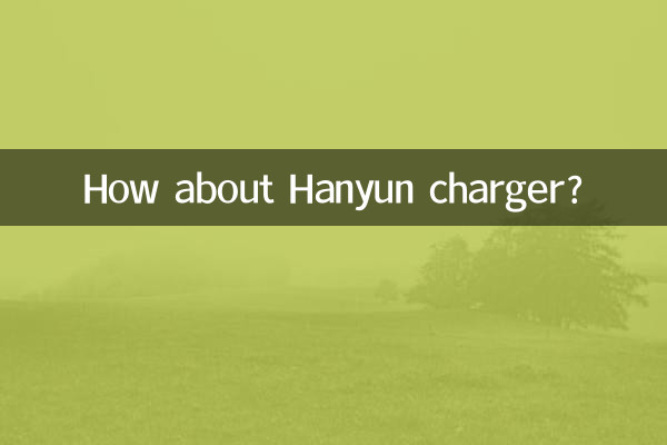 ¿Qué tal el cargador Hanyun?