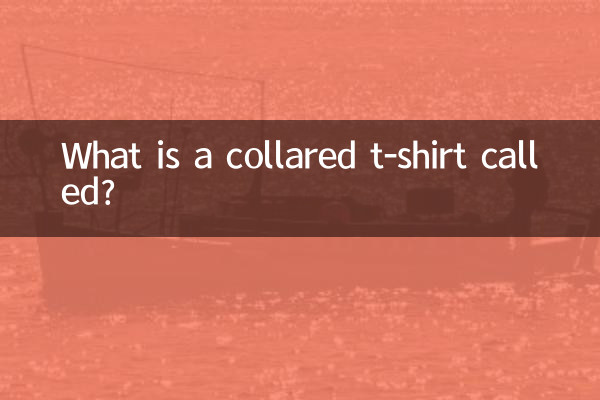 칼라가 있는 티셔츠를 뭐라고 부르나요?