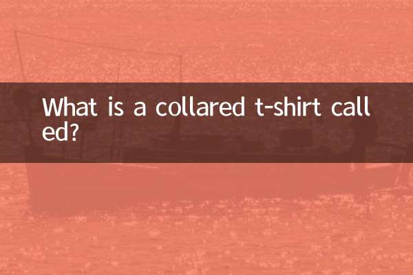 Wie heißt ein T-Shirt mit Kragen?