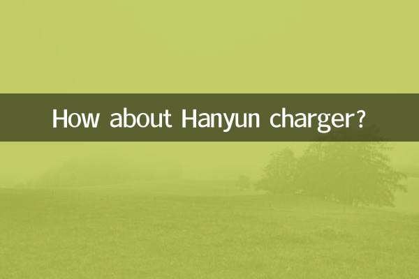 ¿Qué tal el cargador Hanyun?