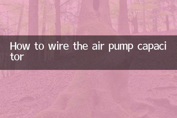 So verdrahten Sie den Luftpumpenkondensator