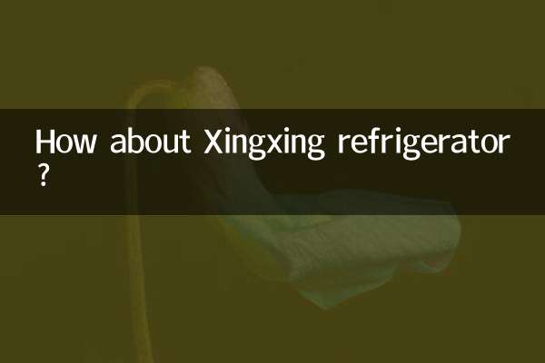 Che ne dici del frigorifero Xingxing?