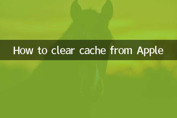 So löschen Sie Cache von Apple
