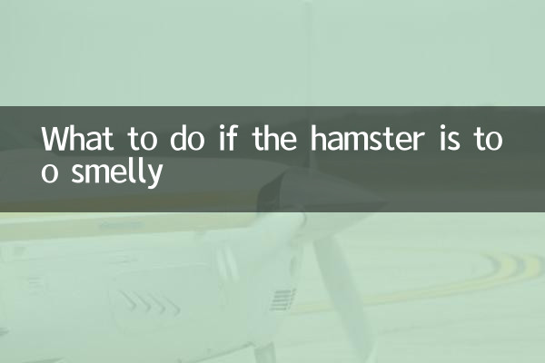 Was tun, wenn der Hamster zu stinkend ist
