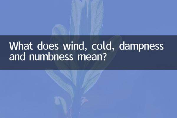 ¿Qué significa el viento, el frío, la humedad y el entumecimiento?