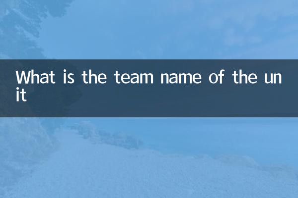 ¿Cuál es el nombre del equipo de la unidad?