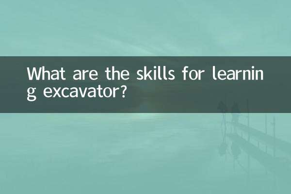 ¿Cuáles son las habilidades para aprender a excavadora?