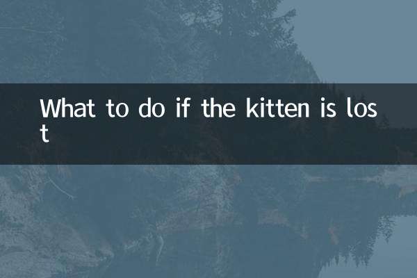 What to do if the kitten is lost