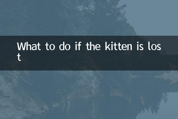 Qué hacer si el gatito se pierde