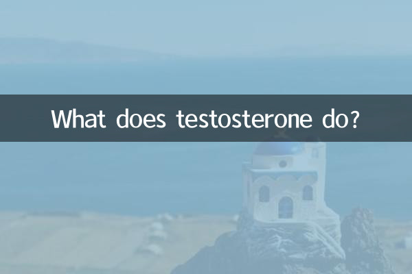 Was bewirkt Testosteron?