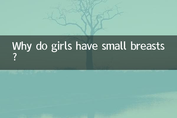 Pourquoi les filles ont-elles de petits seins ?