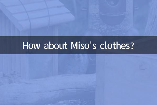 Как насчет одежды Мисо?