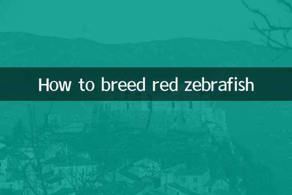 Как разводить красных данио