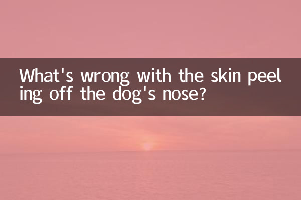 O que há de errado com a pele descascando do nariz do cachorro?