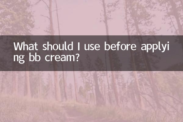 ¿Qué debo usar antes de aplicar la bb cream?