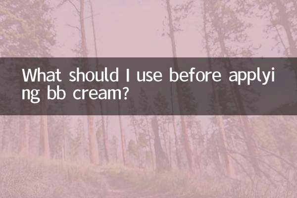 ¿Qué debo usar antes de aplicar la bb cream?