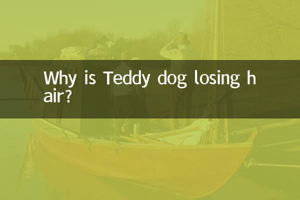 Why is Teddy dog losing hair?