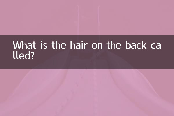 Wie heißen die Haare auf dem Rücken?