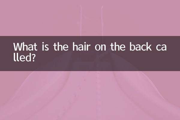 موهای پشت به چه چیزی گفته می شود؟