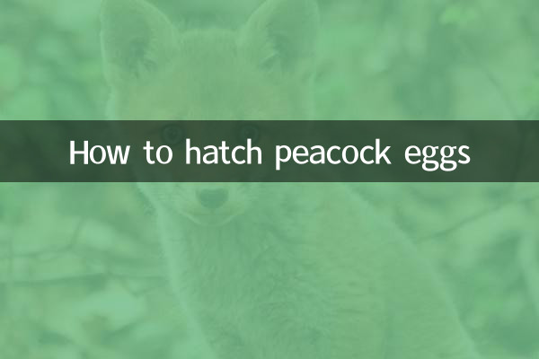 공작알 부화 방법