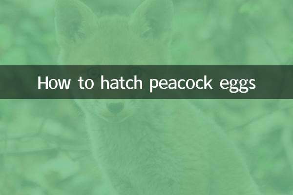 孔雀蛋怎麼孵化