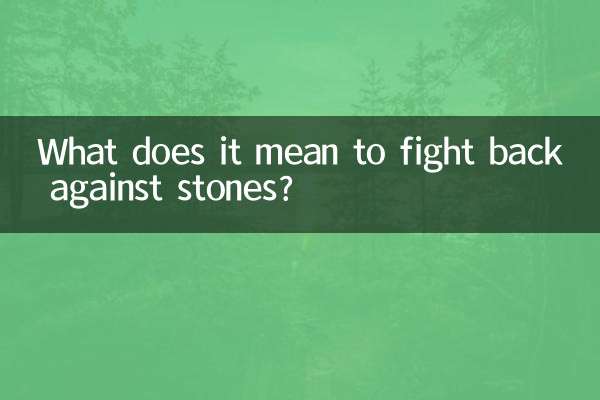 石に反撃するとはどういう意味ですか？