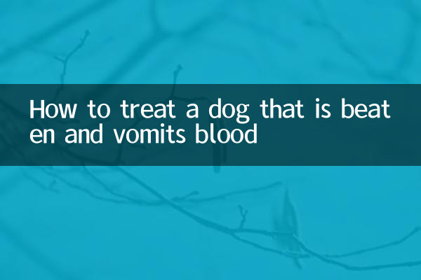 狗狗被打吐血怎么治疗