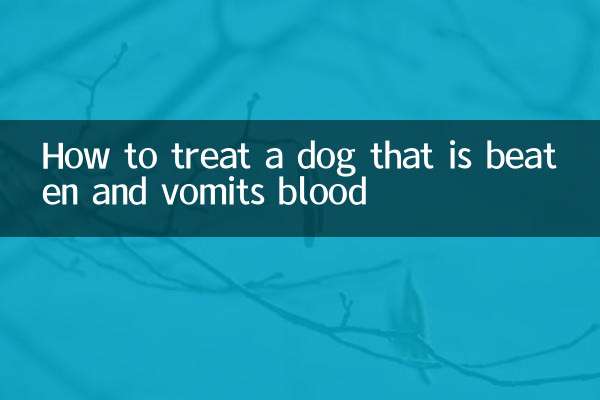 구타당하고 피를 토하는 개를 치료하는 방법