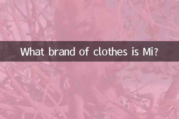 미(Mi)는 어떤 옷 브랜드인가요?