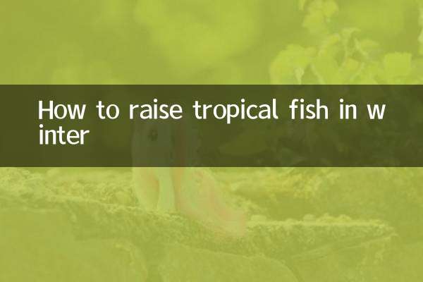 Comment élever des poissons tropicaux en hiver