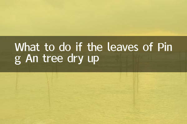 Qué hacer si las hojas del árbol Ping An se secan