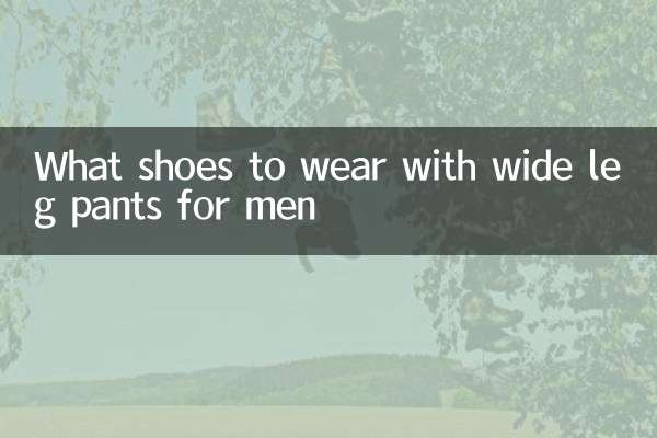 What shoes to wear with wide leg pants for men