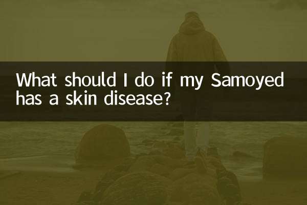 Was soll ich tun, wenn mein Samojede eine Hautkrankheit hat?
