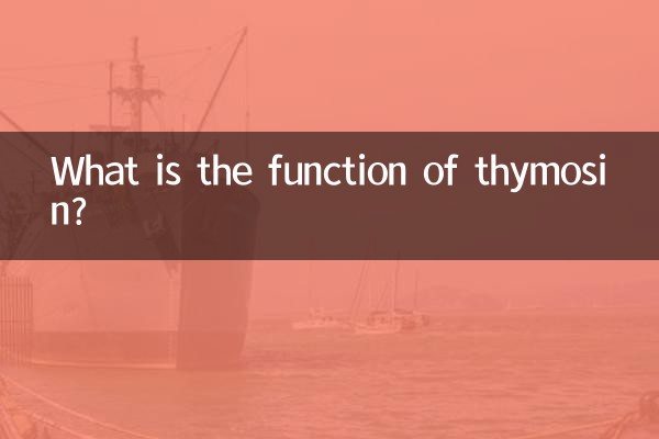 Qual è la funzione della timosina?