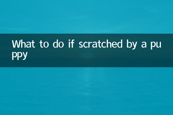 কুকুরছানা দ্বারা স্ক্র্যাচ হলে কি করবেন