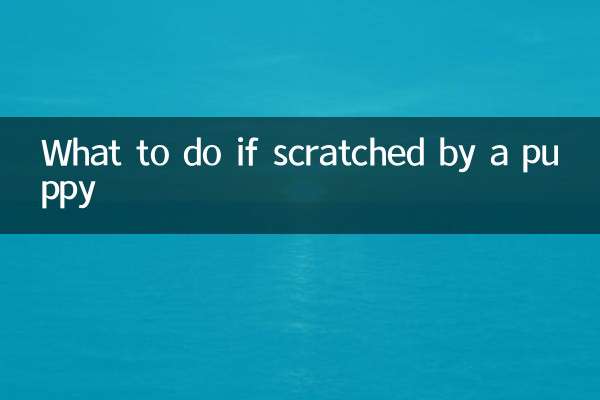Cosa fare se graffiato da un cucciolo